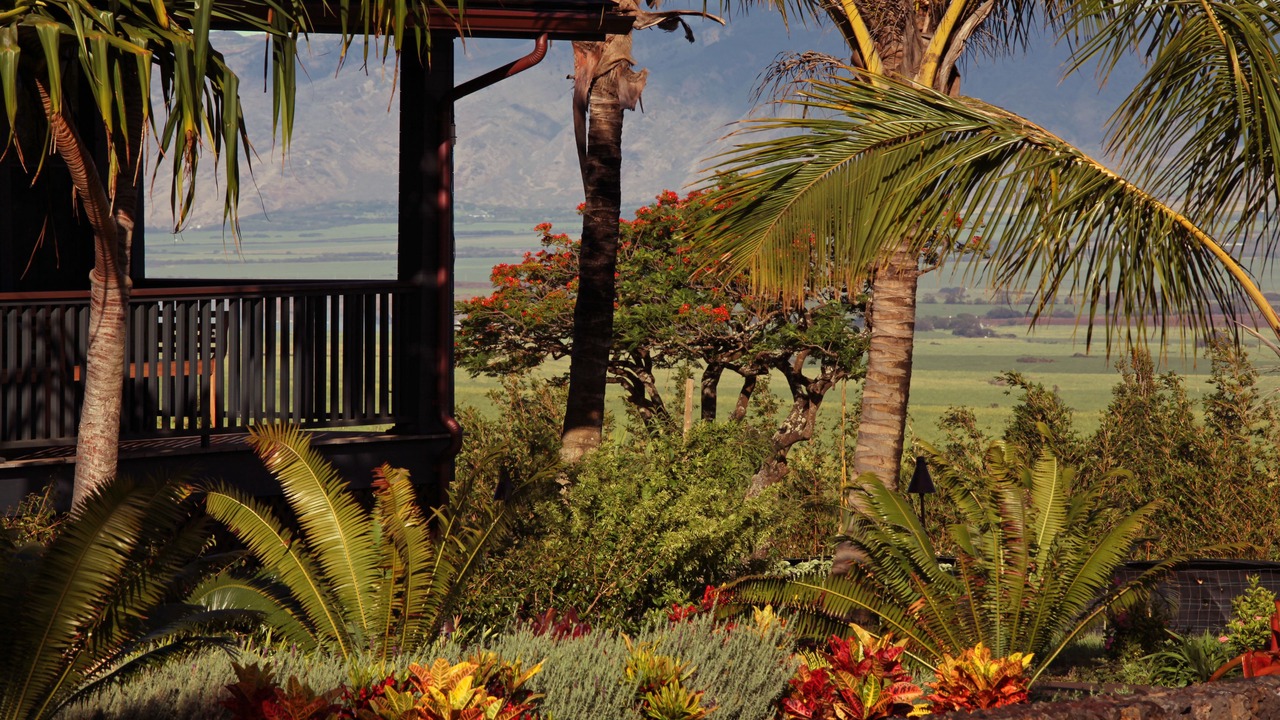Photo of Outdoor in Makawao