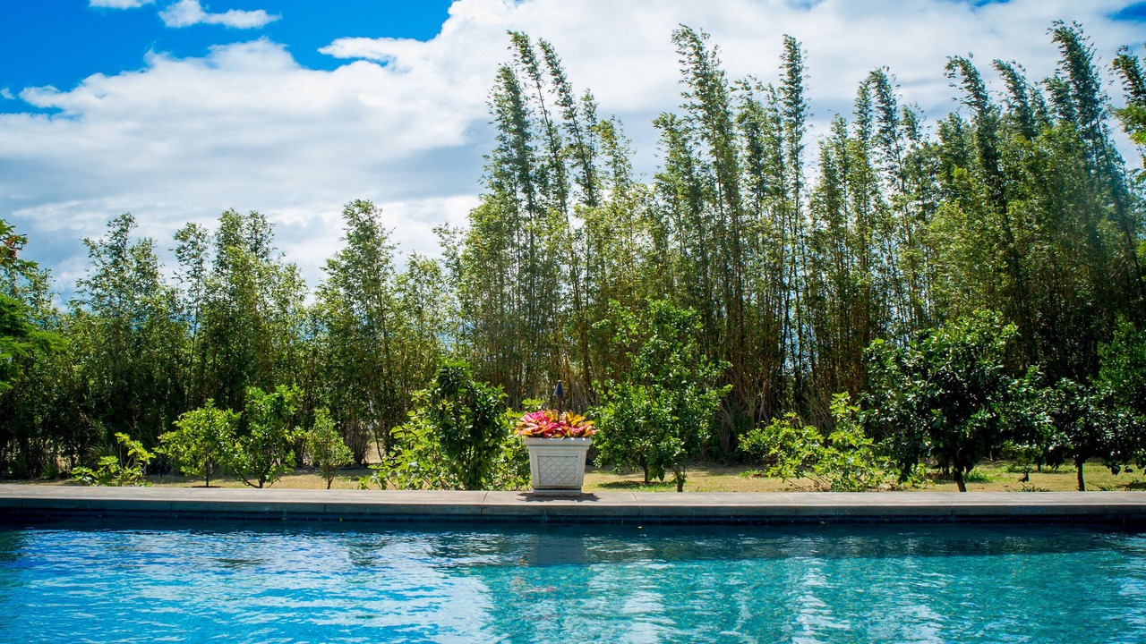 Photo of Outdoor in Makawao