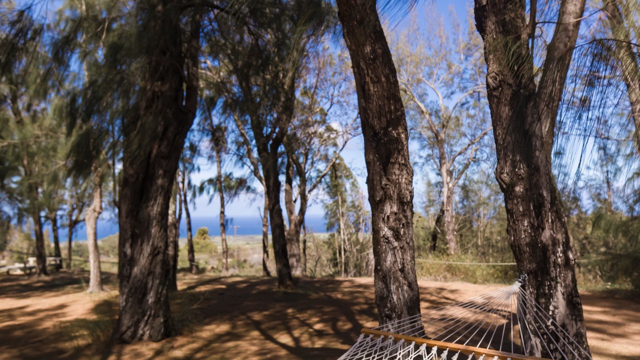 Photo of Outdoor in Makawao