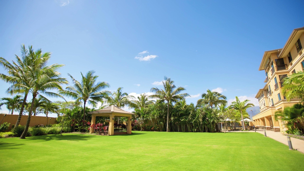 Photo of Others in Kahului
