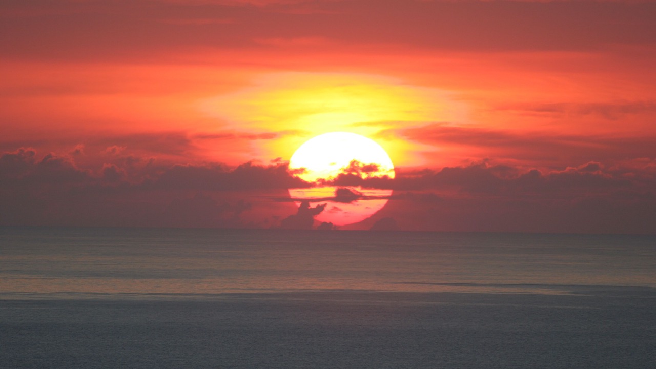 Photo of Others in Waikiki