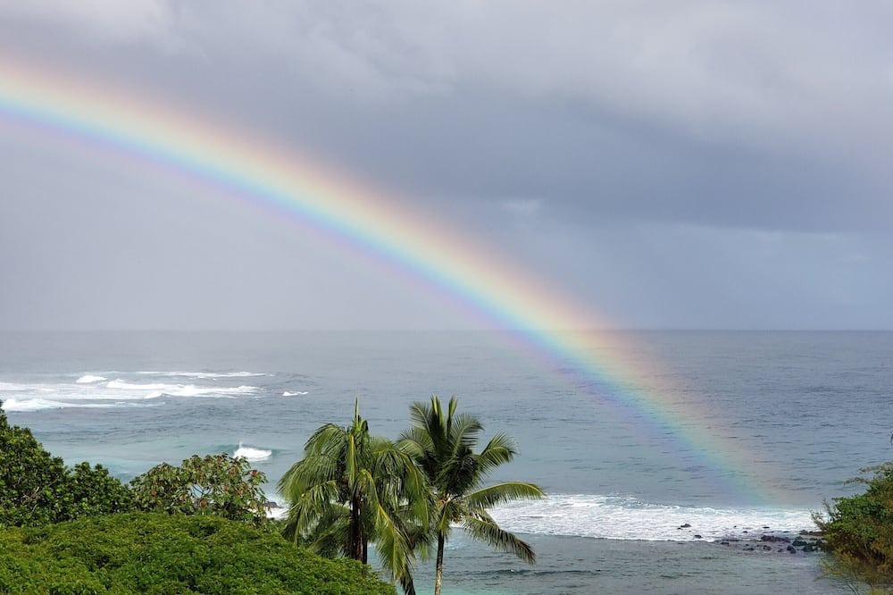 Photo of Others in Hilo
