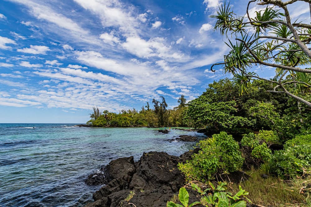 Photo of Others in Hilo