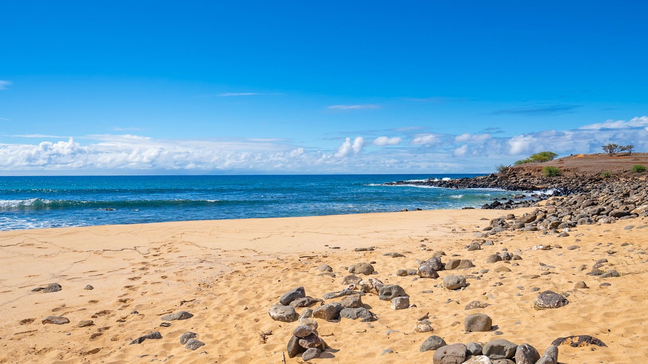Photo of Others in Maunaloa