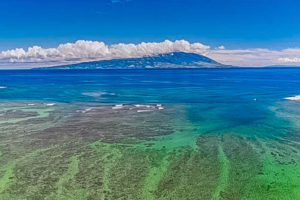 Photo of Others in Maunaloa