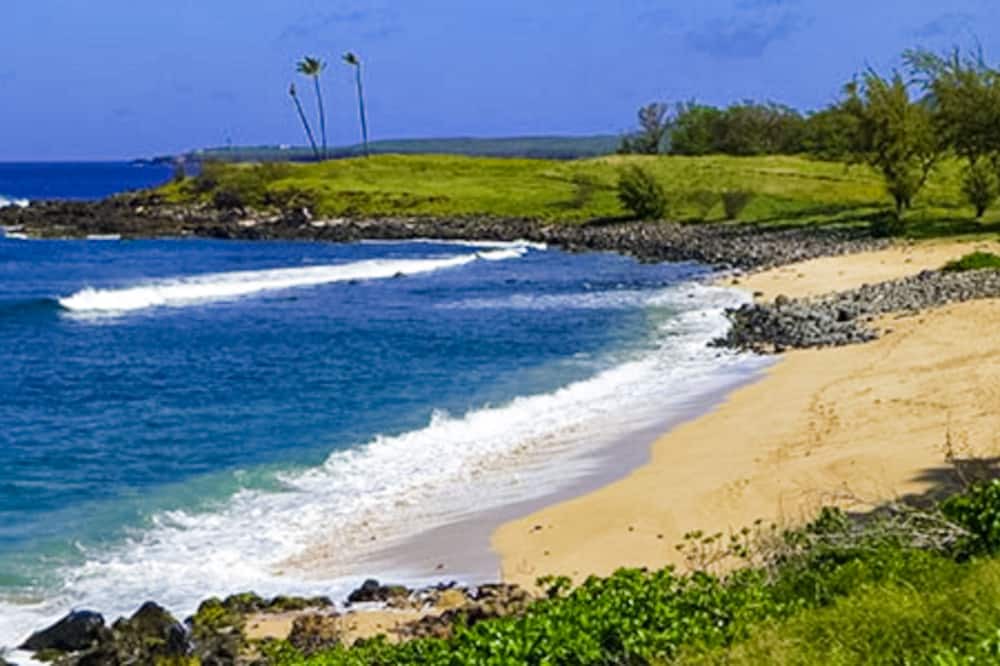 Photo of Others in Maunaloa