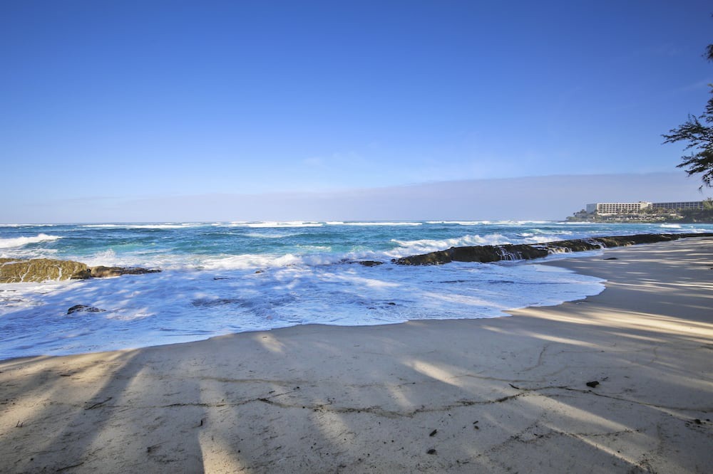 Photo of Others in Kahuku