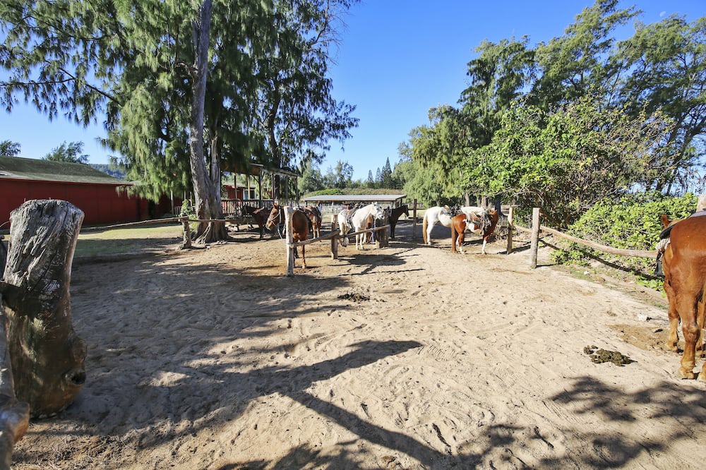 Photo of Outdoor in Kahuku