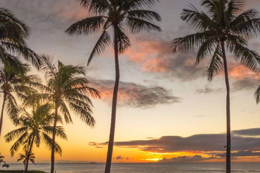Photo of Others in Ko Olina