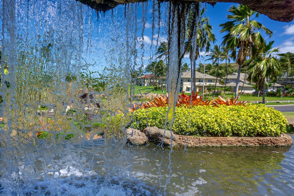 Photo of Others in Ko Olina