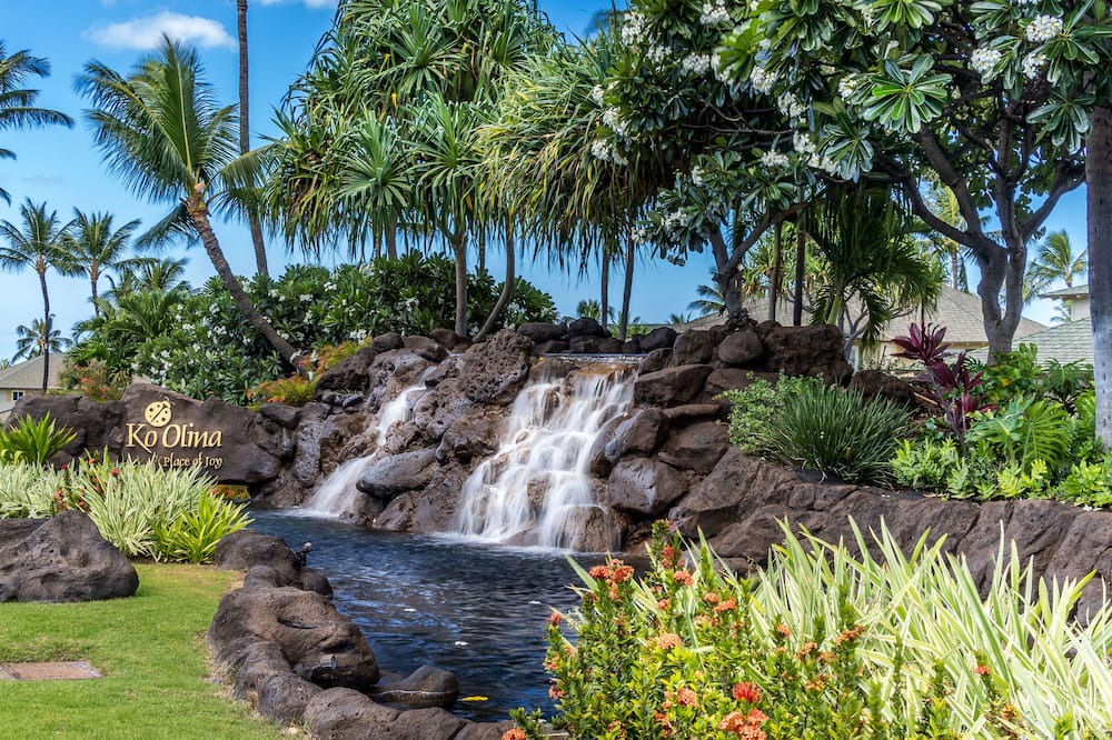 Photo of Others in Ko Olina