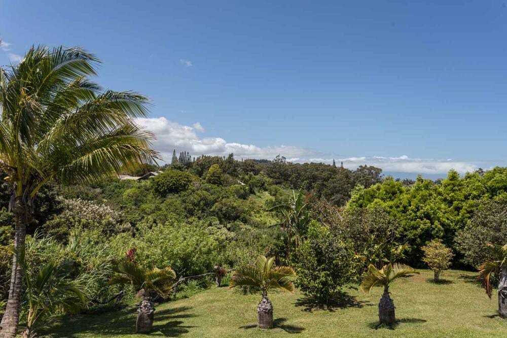 Photo of Outdoor in Pauwela
