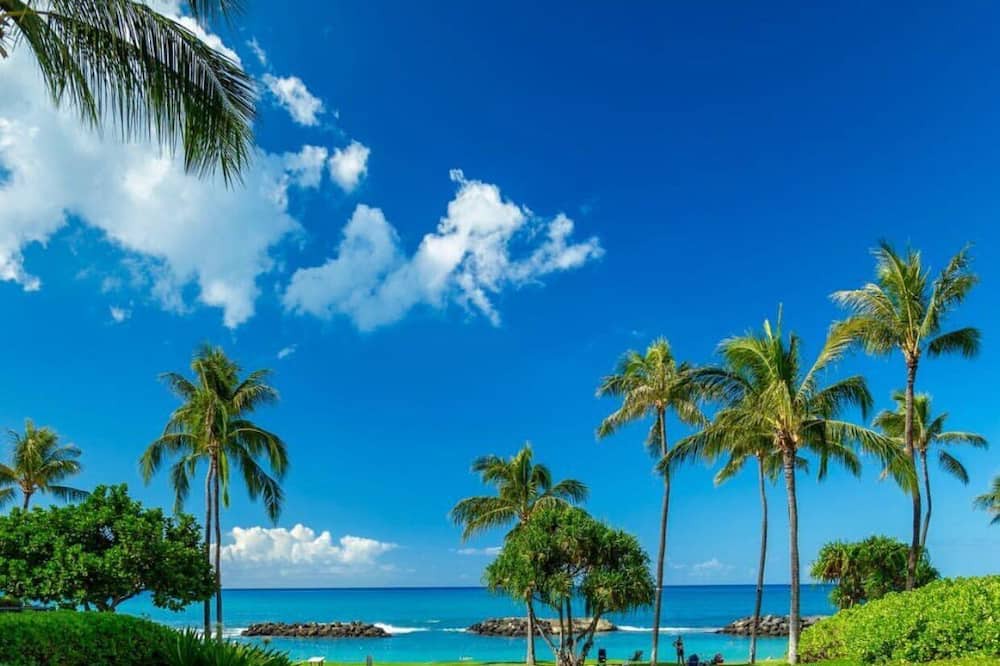 Photo of Others in Ko Olina