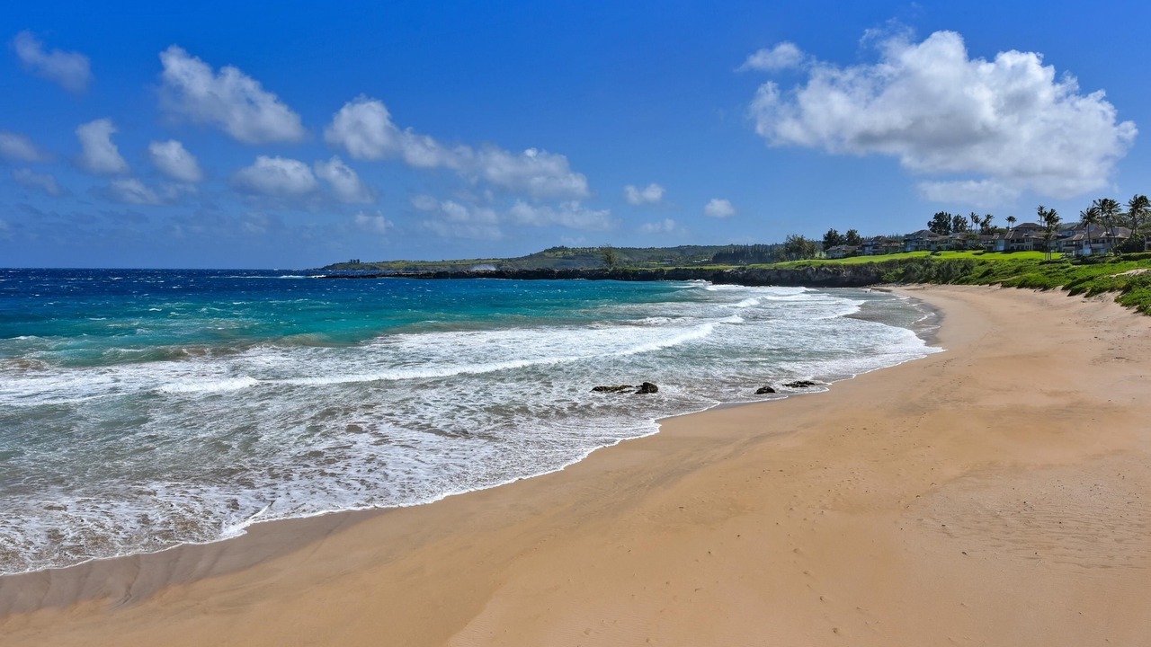 Photo of Others in Napili