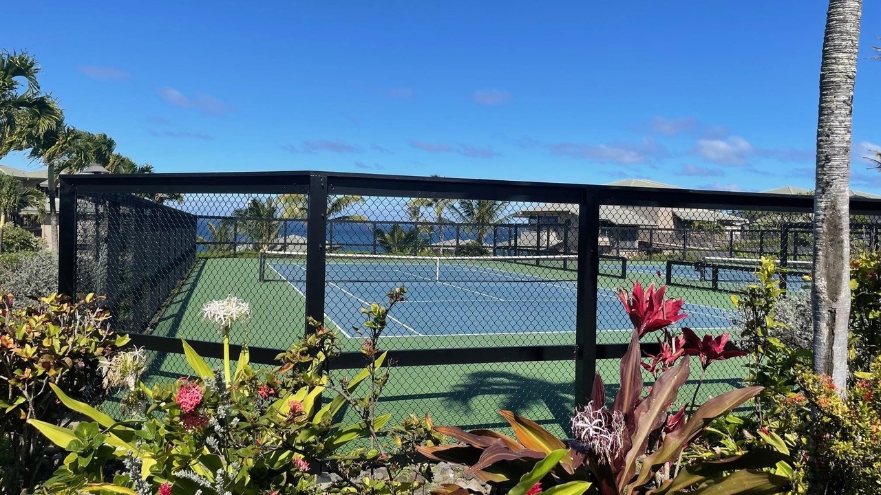 Photo of Others in Napili