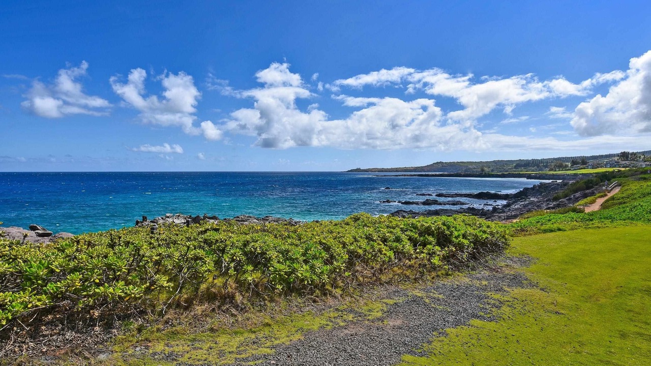 Photo of Others in Napili