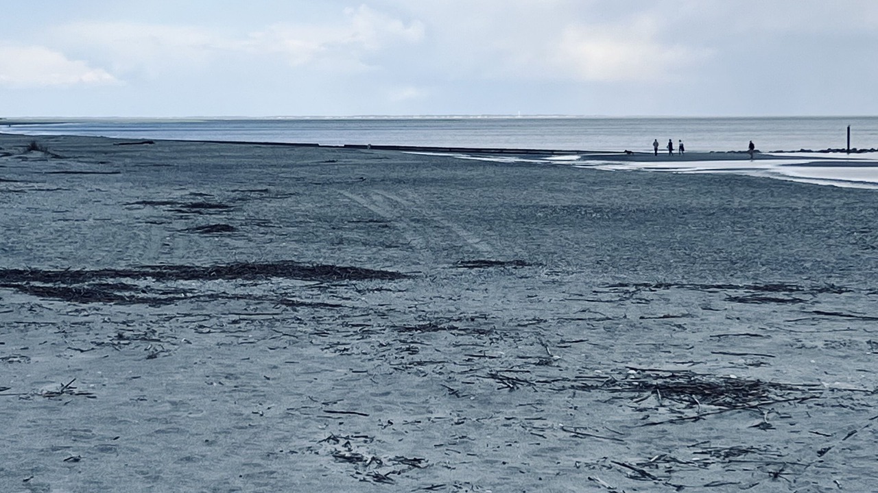 Photo of Others in Beaufort