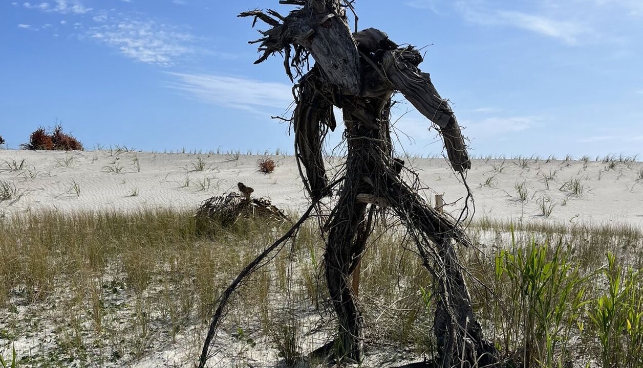 Photo of Others in Long Beach