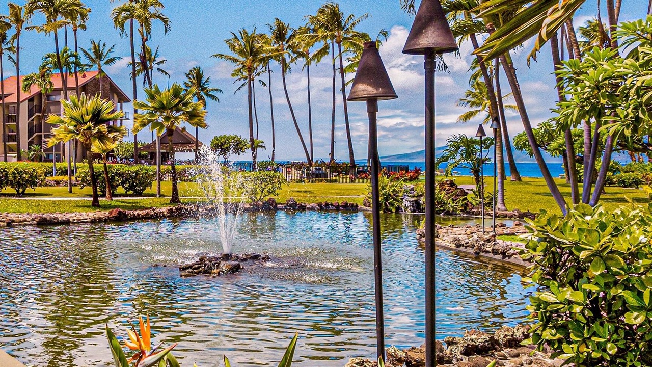 Photo of Others in Honokowai
