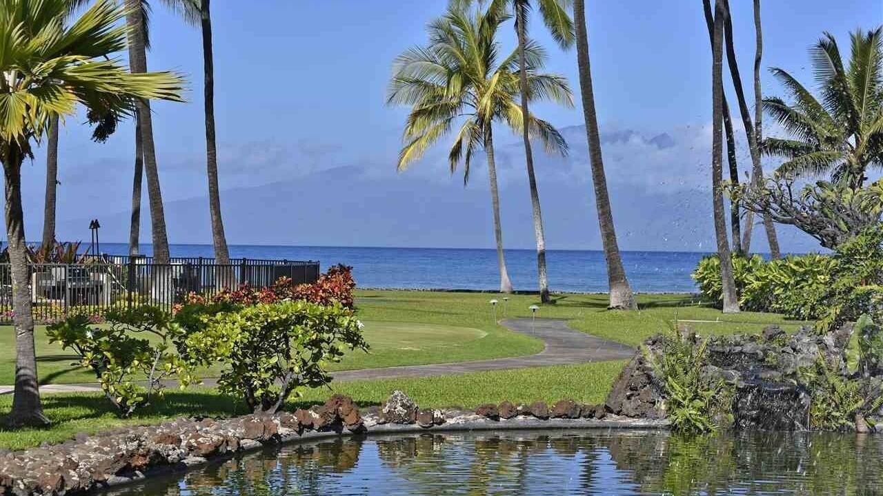 Photo of Others in Honokowai