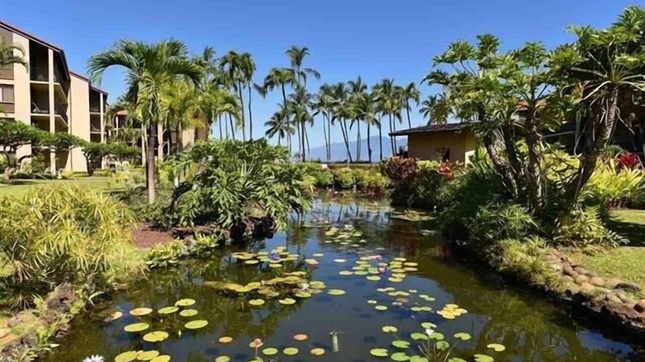 Photo of Others in Honokowai