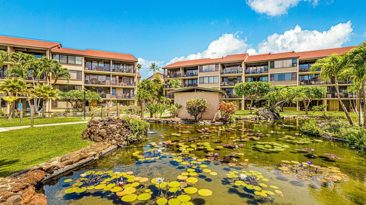 Photo of Outdoor in Honokowai