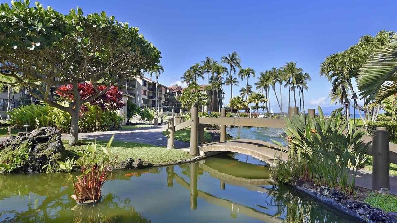 Photo of Outdoor in Honokowai