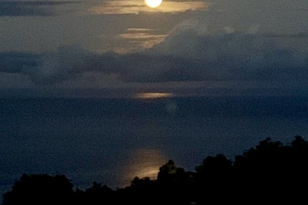 Photo of Others in Kealakekua