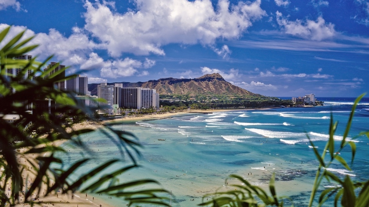 Photo of Outdoor in Waikiki