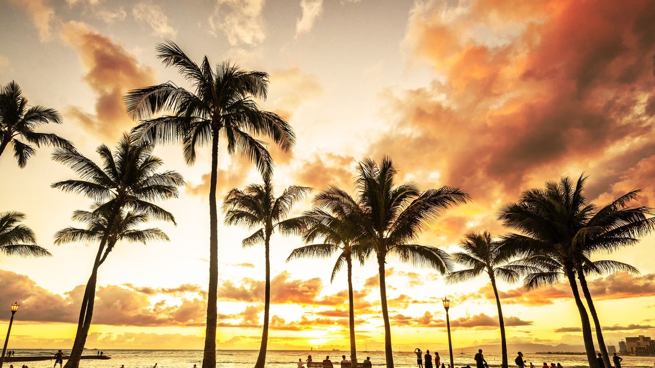 Photo of Others in Waikiki