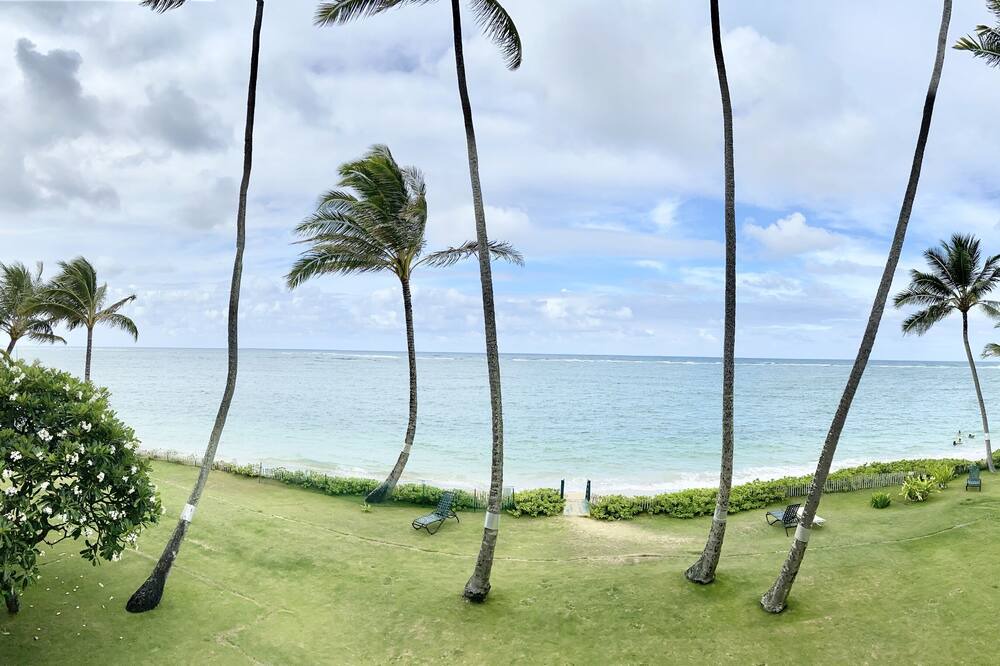 Photo of Outdoor in Punaluu