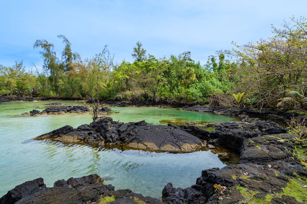 Photo of Others in Hilo