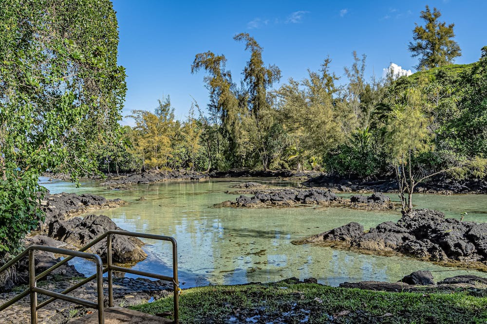 Photo of Others in Hilo