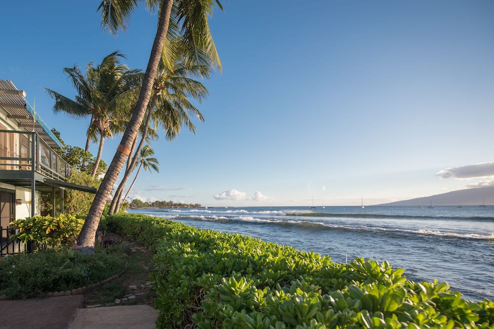 Photo of Others in Historic Lahaina Front Street