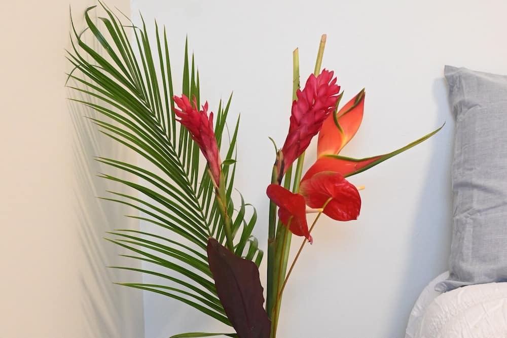 Photo of Bedroom in Diamond Head - Kapahulu - St. Louis