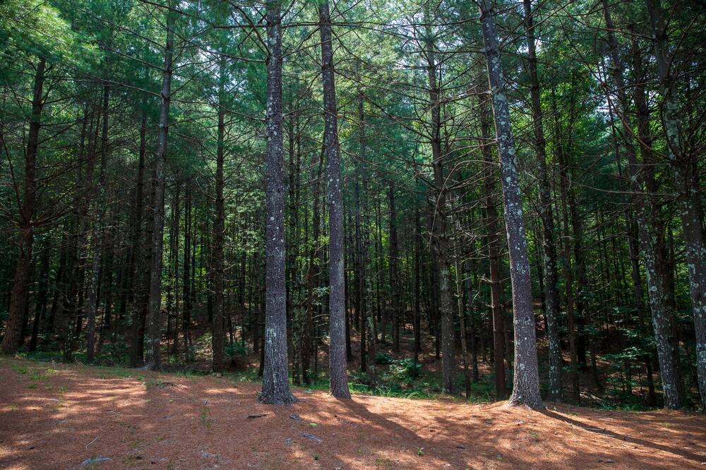 Photo of Outdoor in Vein Mountain