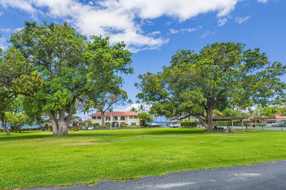 Photo of Outdoor in Downtown Lahaina