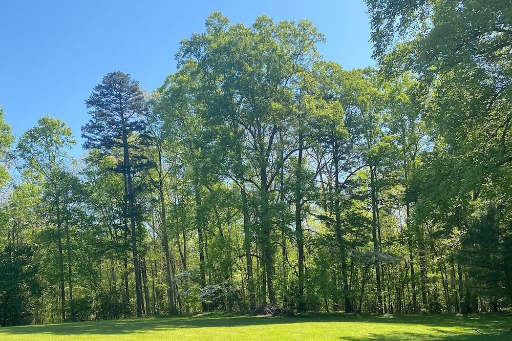 Photo of Outdoor in Wilkesboro