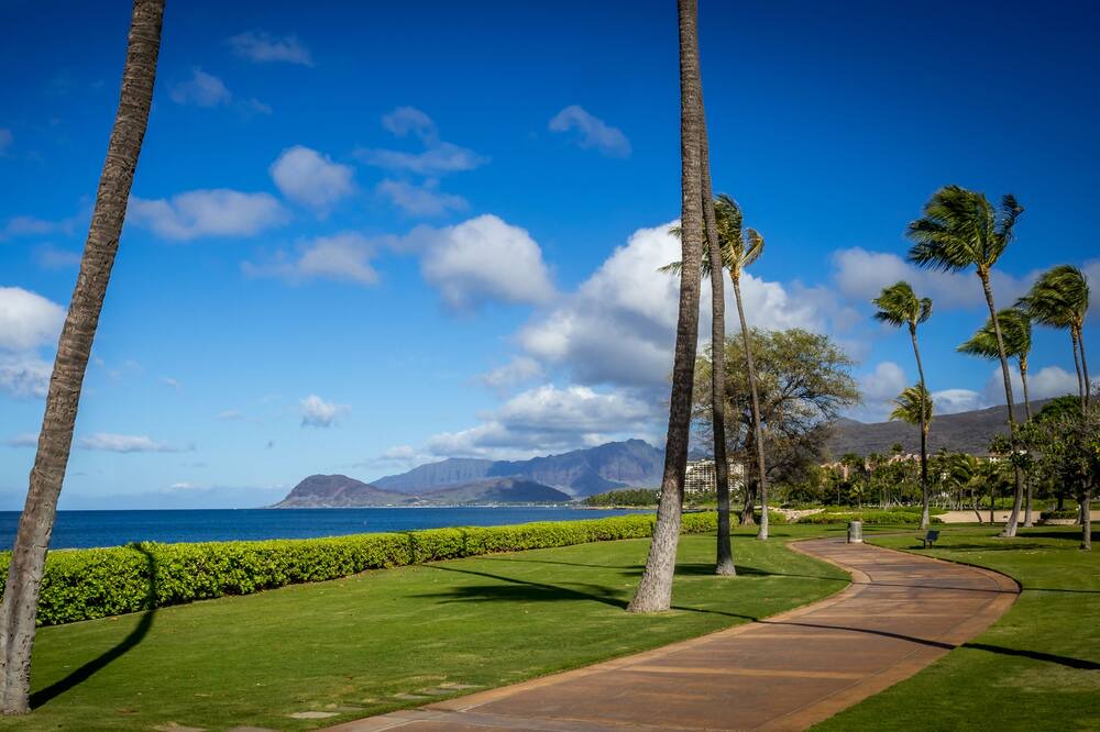 Photo of Others in Ko Olina