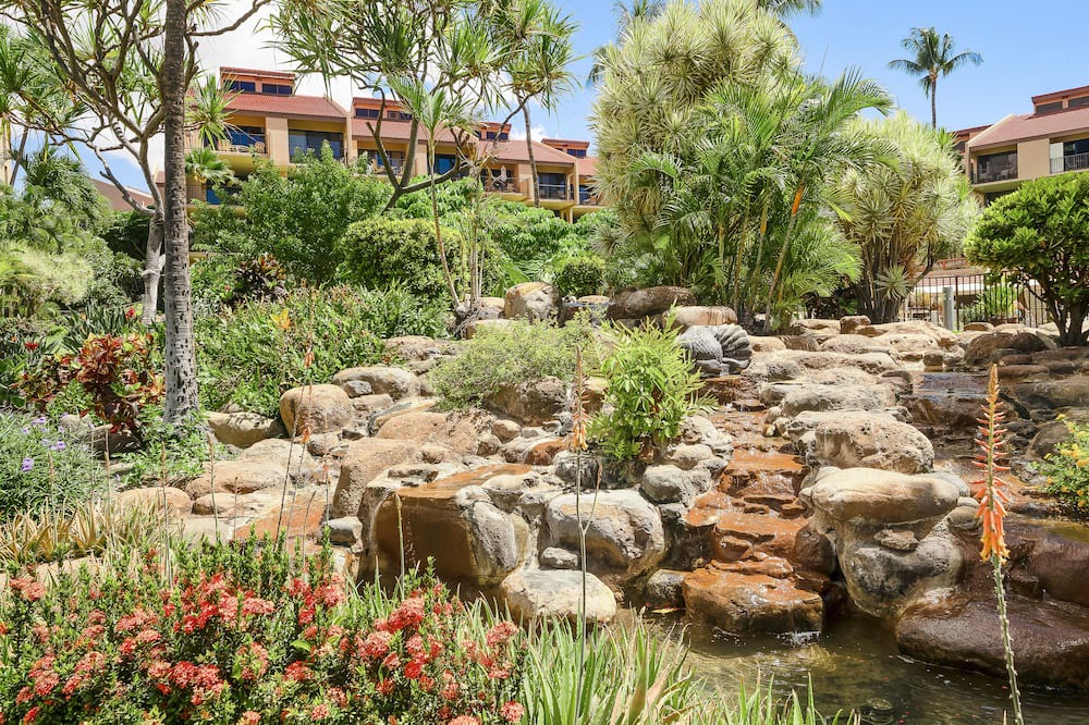 Photo of Outdoor in Kihei