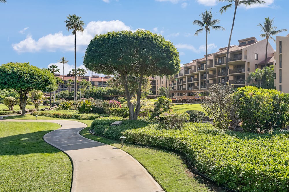 Photo of Outdoor in Kihei