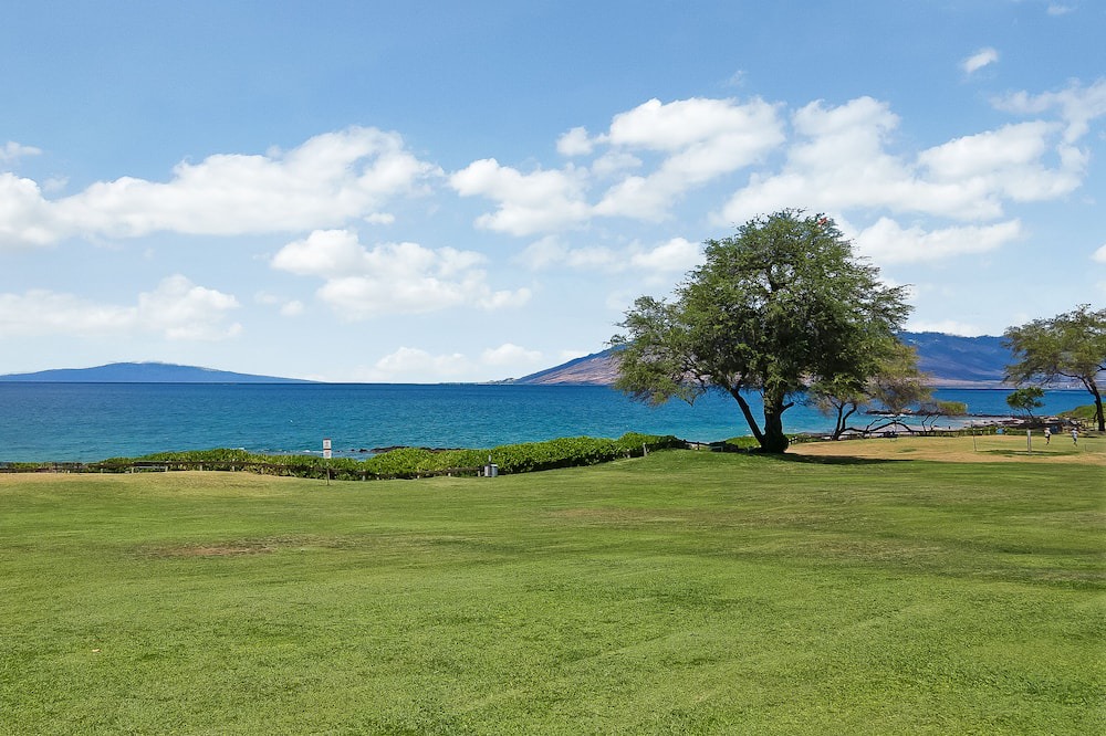 Photo of Others in Kihei