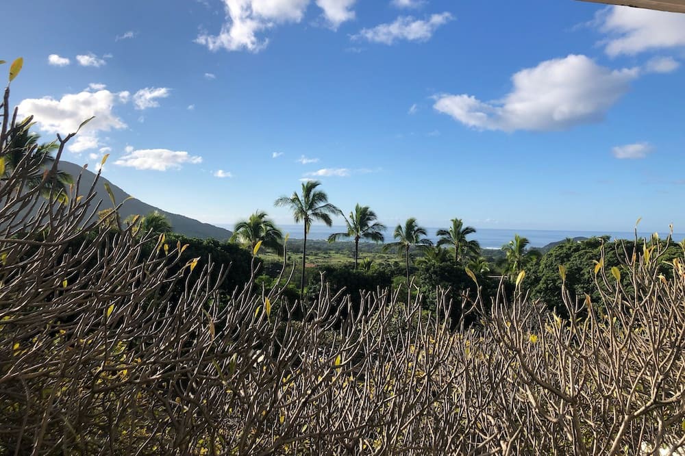 Photo of Outdoor in Makaha