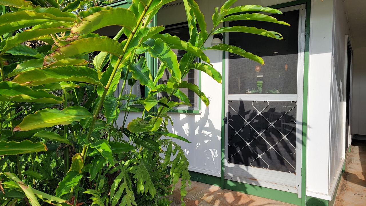 Photo of Outdoor in Wahiawa
