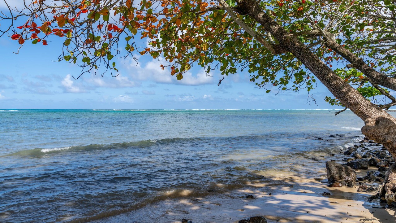 Photo of Others in Ka'a'awa