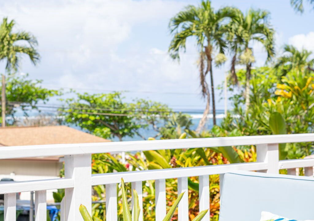 Photo of Outdoor in Ka'a'awa
