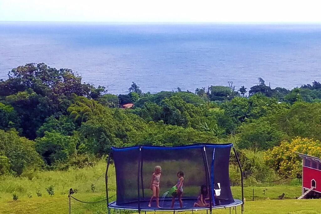 Photo of Others in Papaaloa