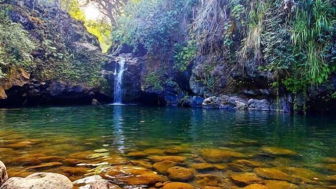 Photo of Outdoor in Papaaloa