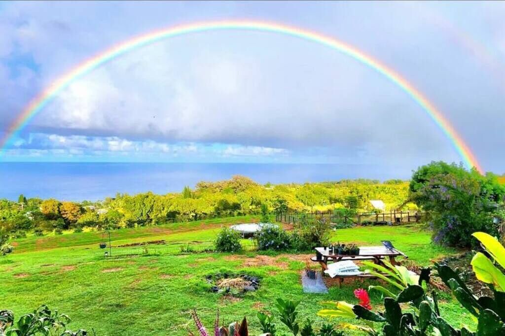 Photo of Outdoor in Papaaloa