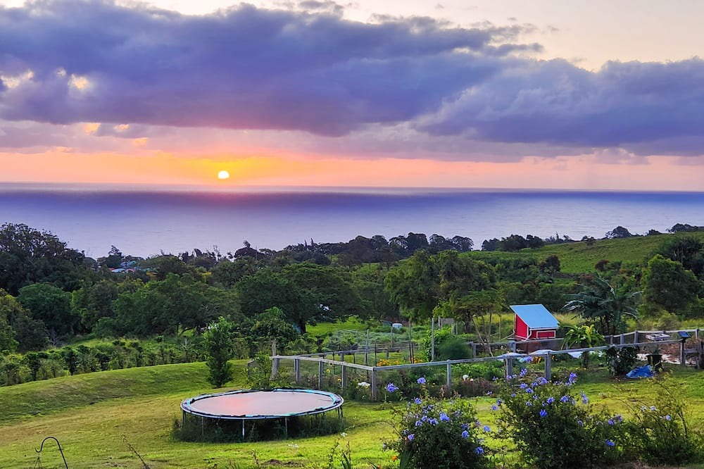 Photo of Others in Papaaloa